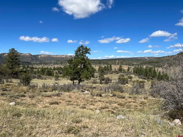 $140,000 | 362 Mary's Court, Chromo, CO 81128