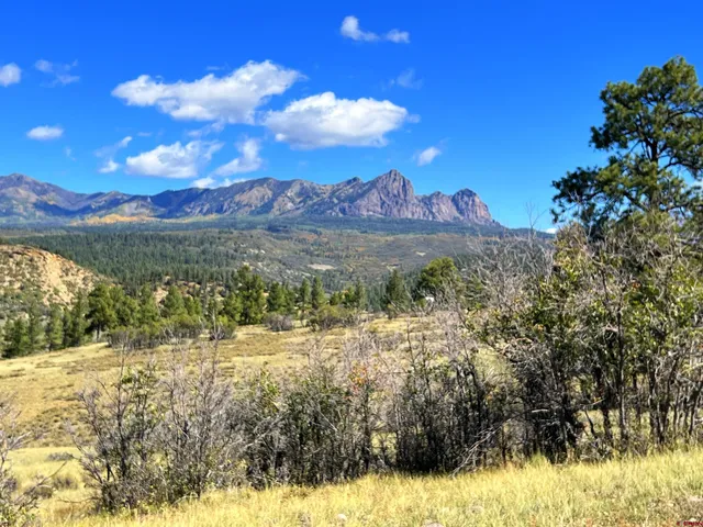 $140,000 | 362 Mary's Court, Chromo, CO 81128