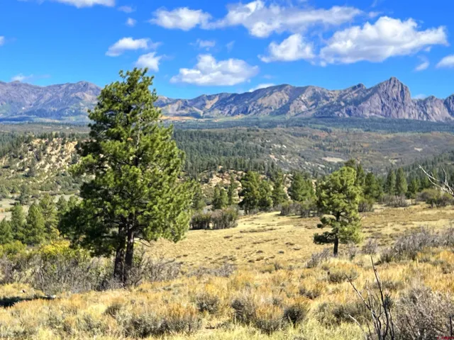 $140,000 | 362 Mary's Court, Chromo, CO 81128