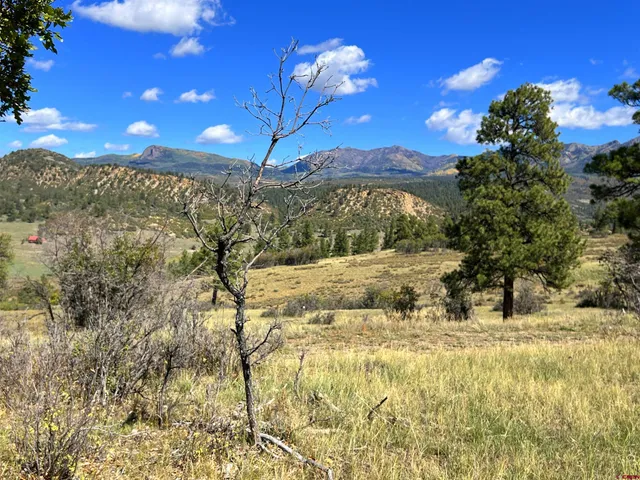 $140,000 | 362 Mary's Court, Chromo, CO 81128