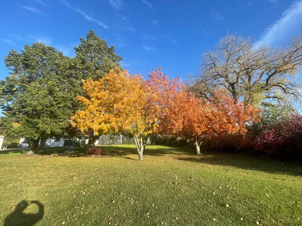 $665,000 | 6894 150th Avenue North, Felton, MN 56536