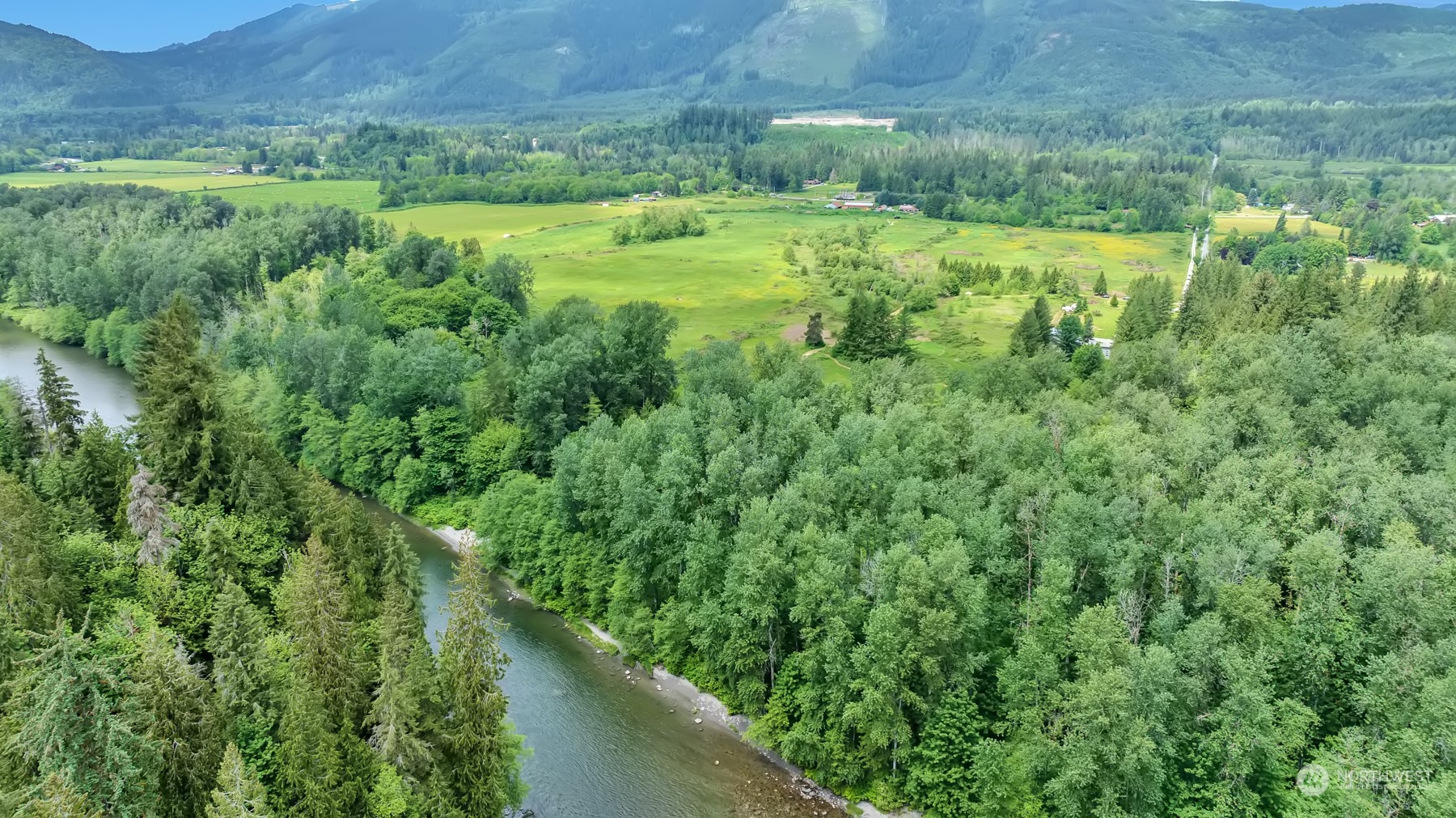 202 State Rte 20 Colville, WA 99114 - Photo 4 of 10 a view of a lush green field with a tree in the background
