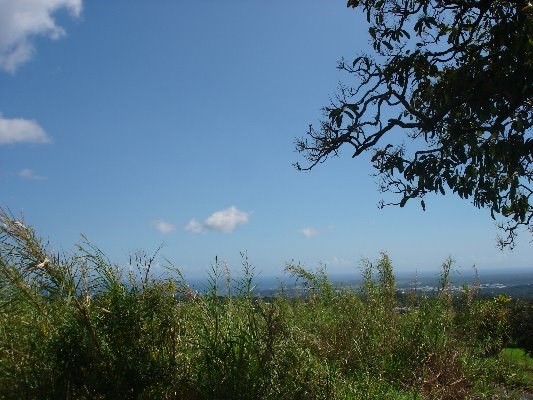 Akala Road Hilo, HI 96720 - Photo 3 of 5