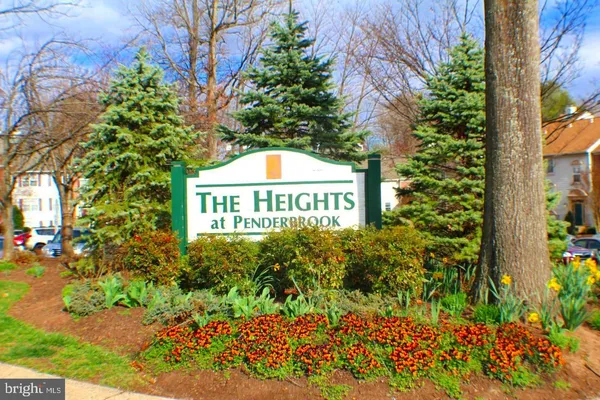 a view of a park with large trees