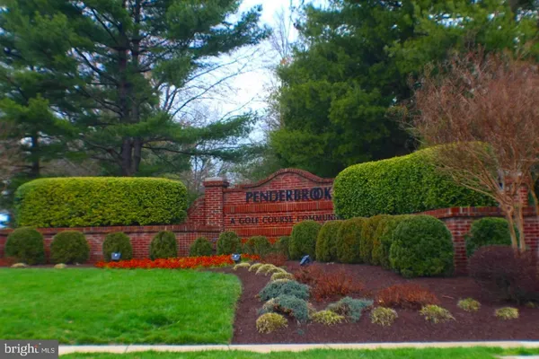 a view of a park with large trees
