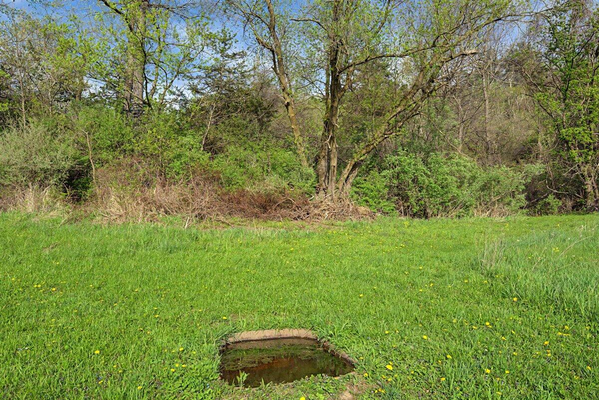 W5405 Keil Coulee Road Medary, WI 54601 - Photo 31 of 44 31.5-MLS