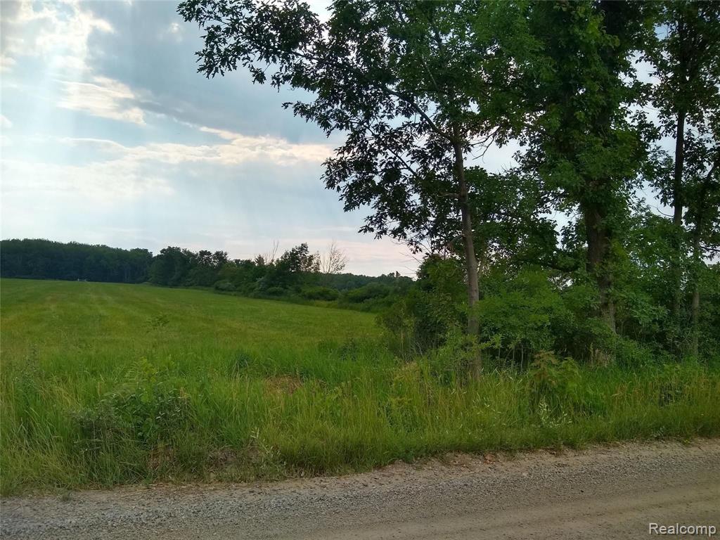 0 Martin Road Capac, MI 48014 - Photo 1 of 5