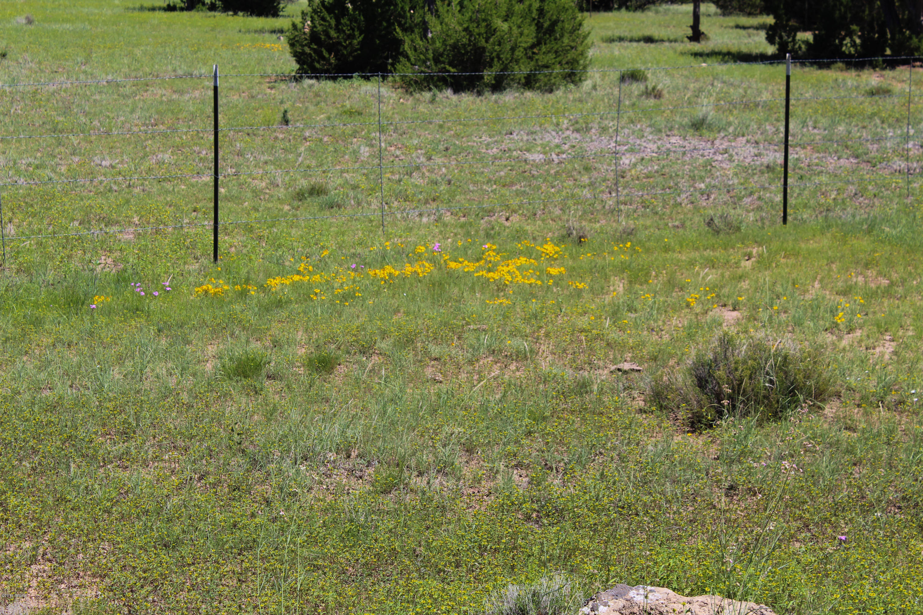 2134 Supancheck Road Show Low, AZ 85901 - Photo 11 of 19