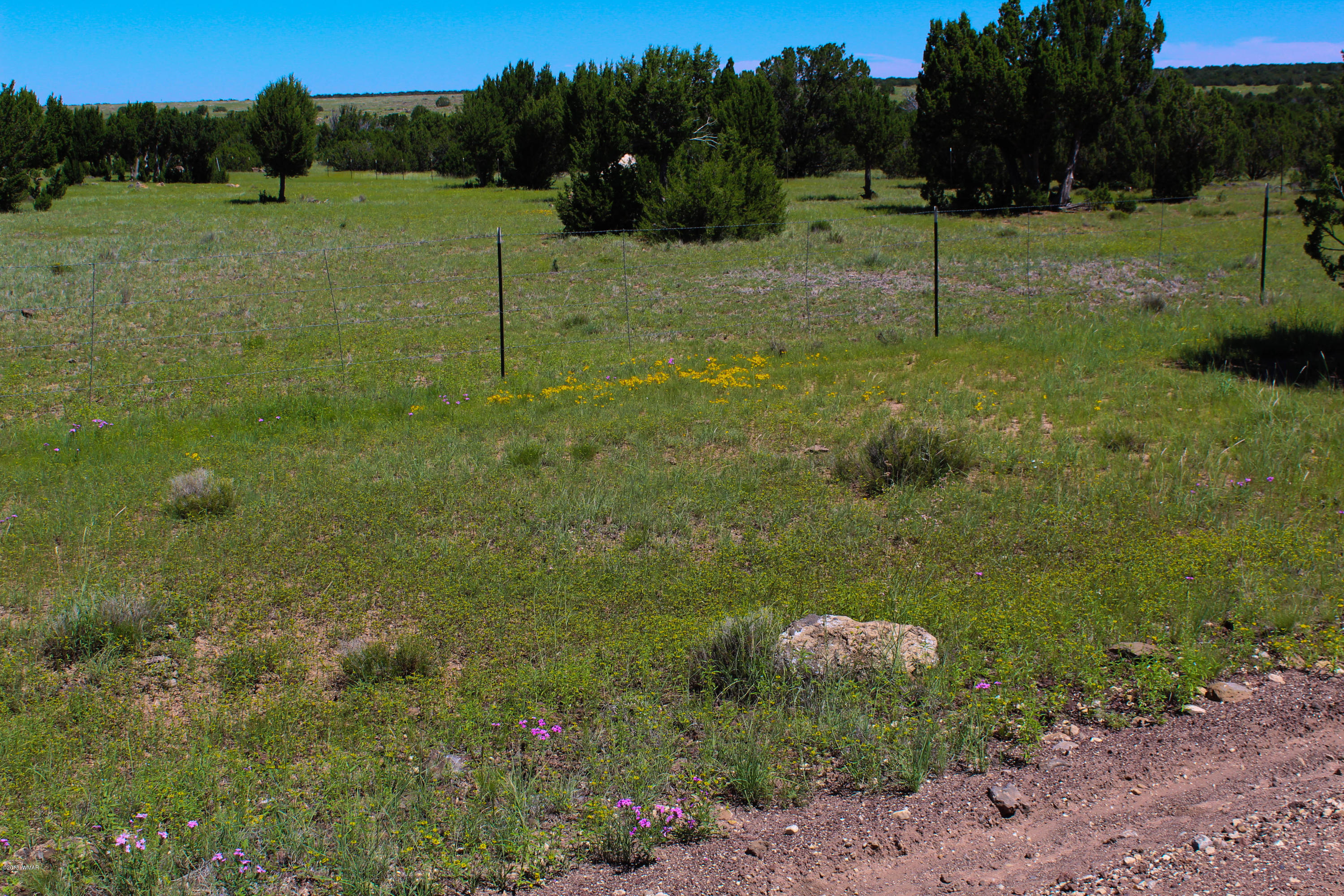 2134 Supancheck Road Show Low, AZ 85901 - Photo 12 of 19