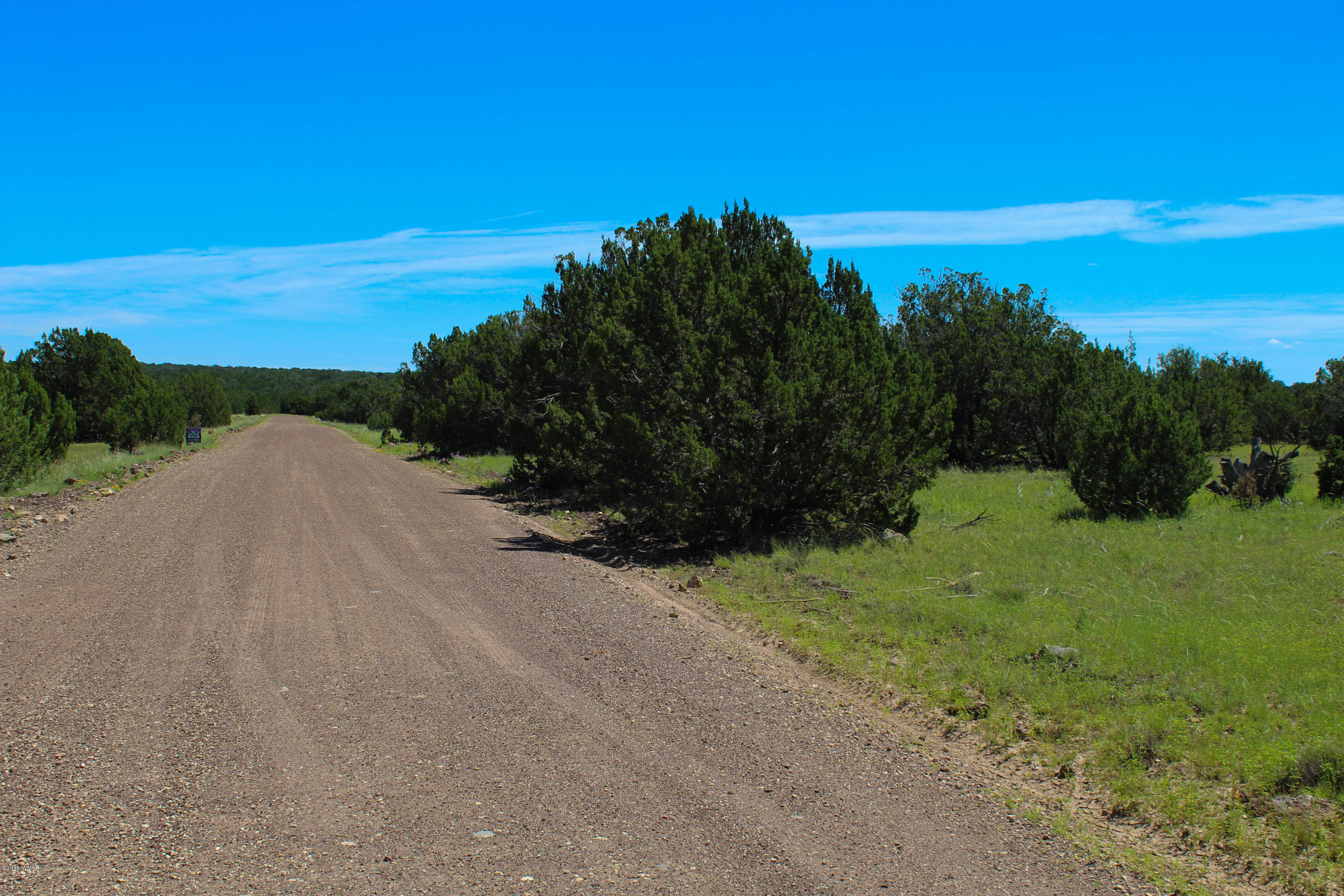 2134 Supancheck Road Show Low, AZ 85901 - Photo 14 of 19