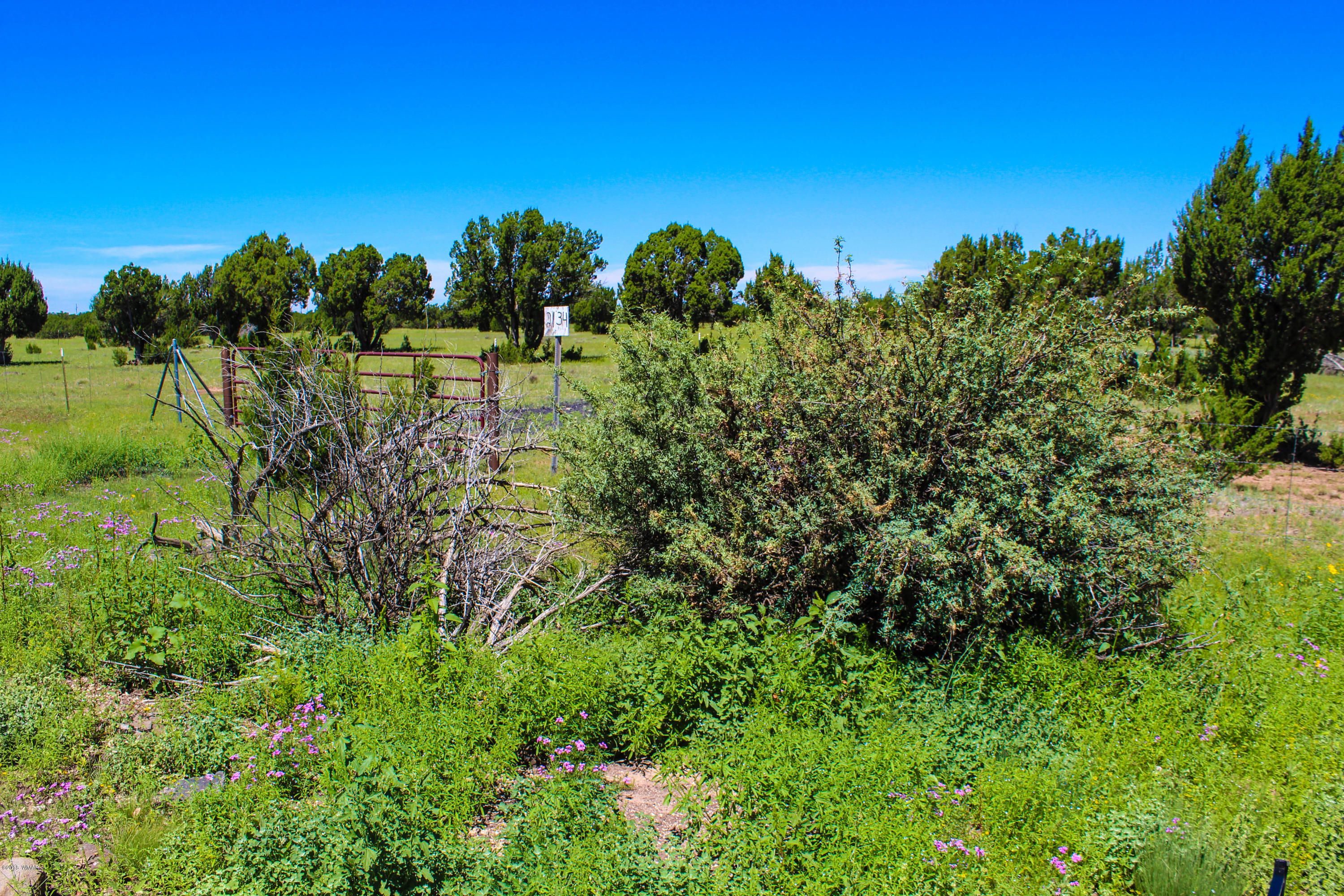 2134 Supancheck Road Show Low, AZ 85901 - Photo 17 of 19