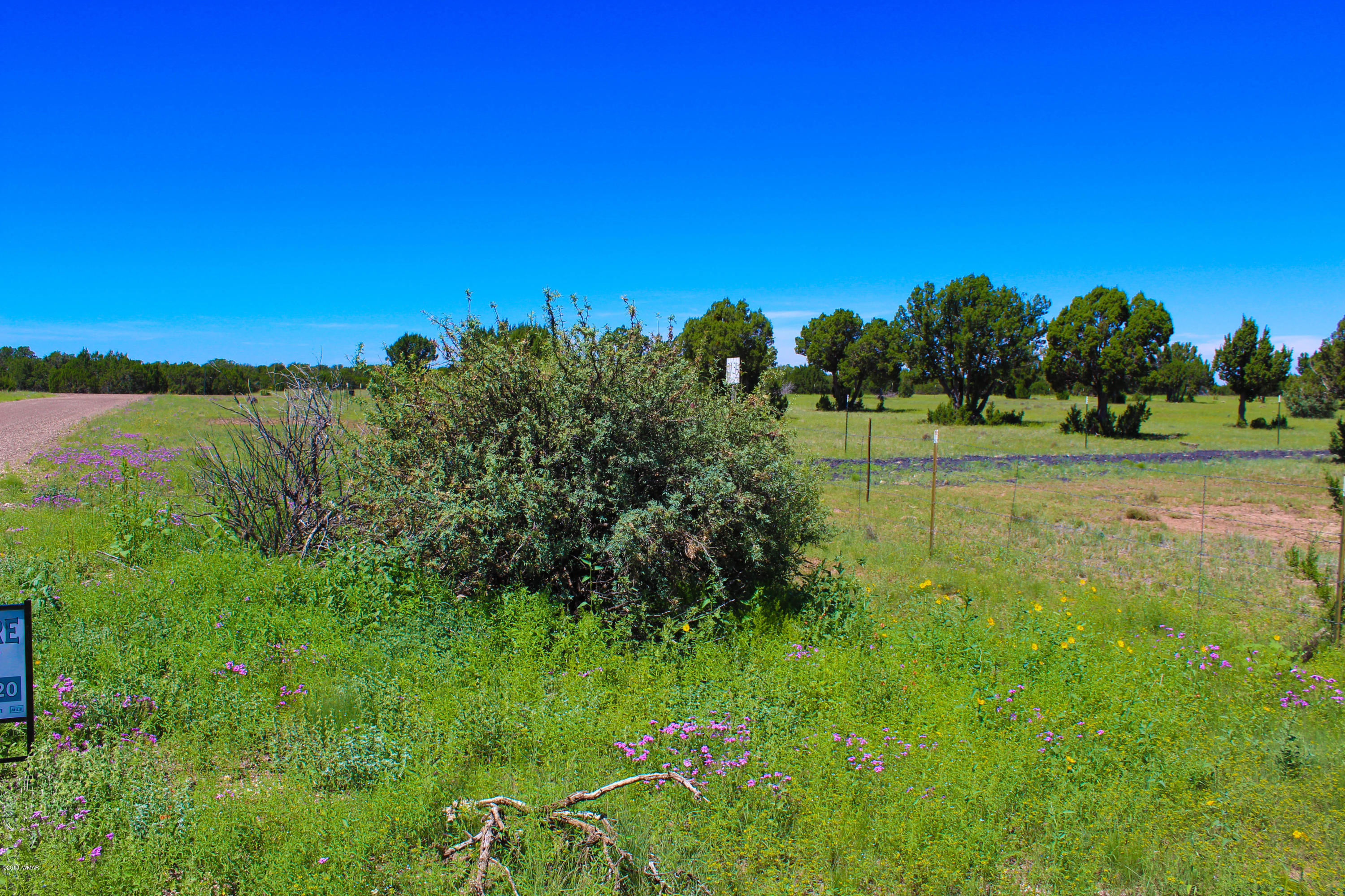 2134 Supancheck Road Show Low, AZ 85901 - Photo 18 of 19