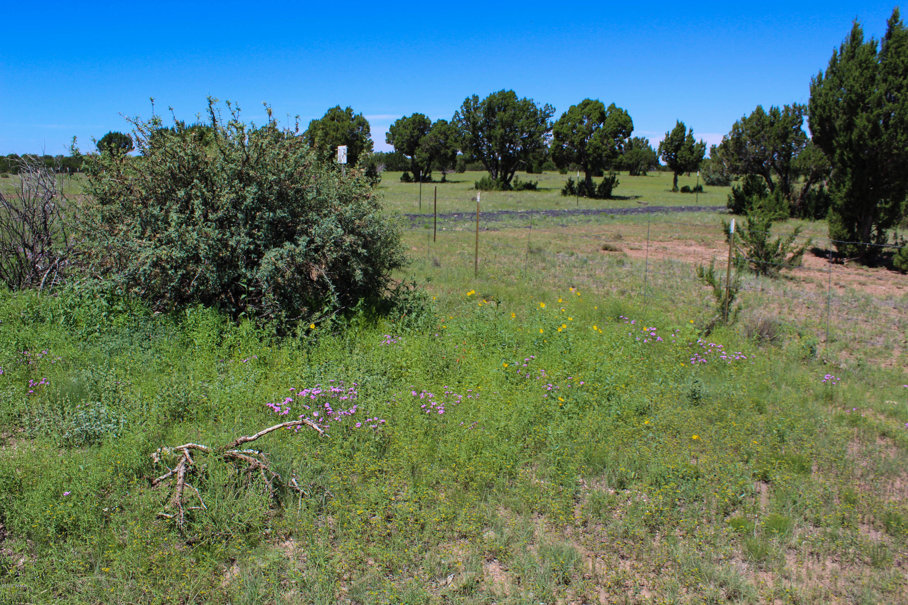 2134 Supancheck Road Show Low, AZ 85901 - Photo 19 of 19