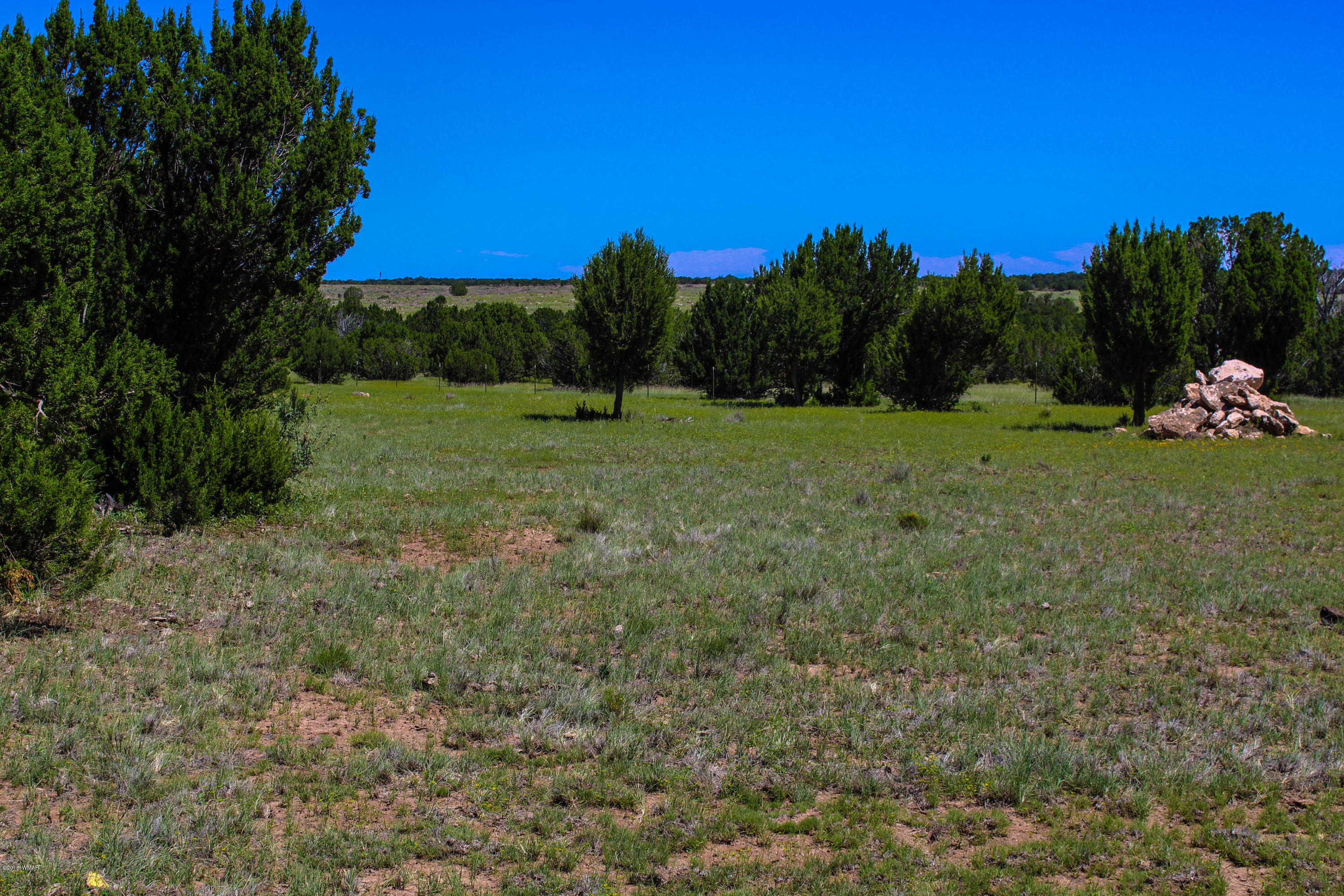 2134 Supancheck Road Show Low, AZ 85901 - Photo 4 of 19