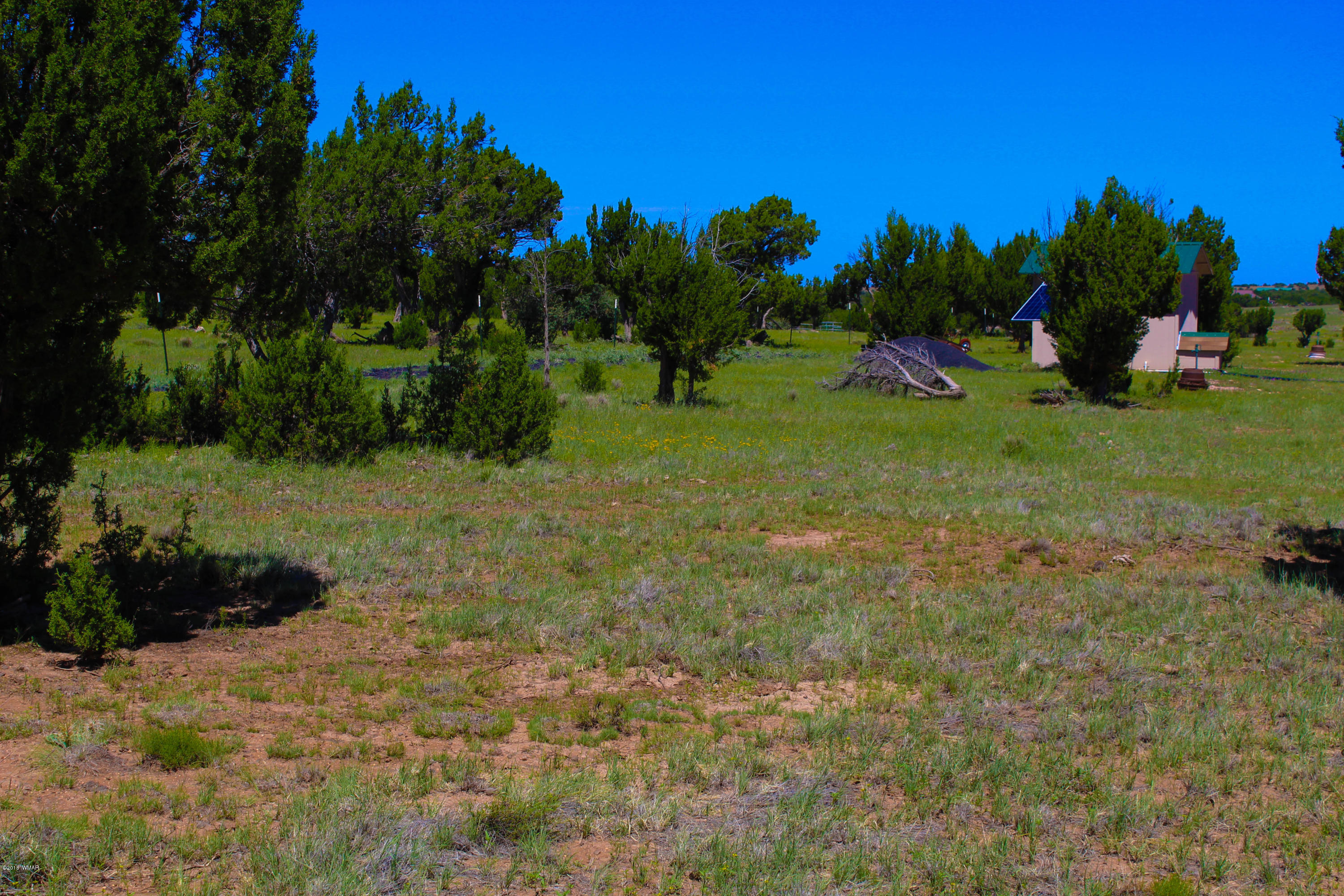 2134 Supancheck Road Show Low, AZ 85901 - Photo 5 of 19