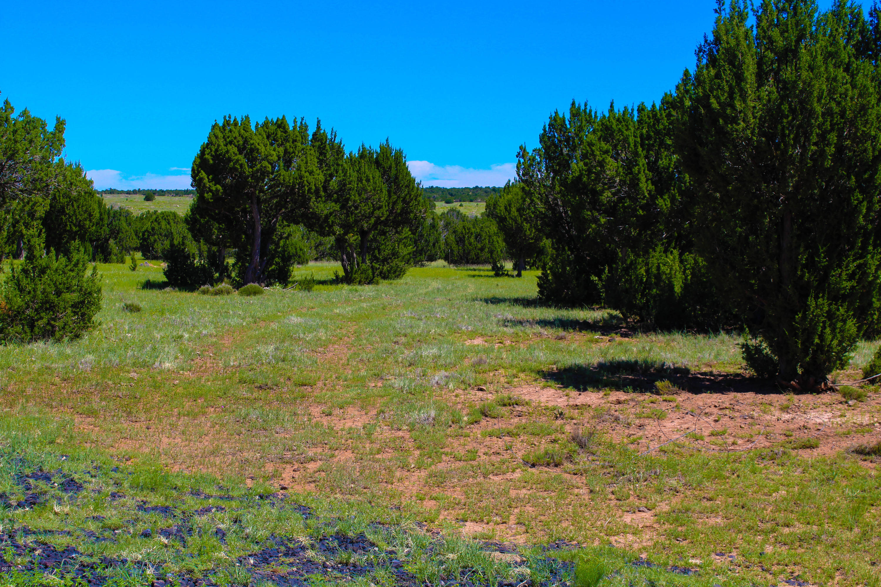 2134 Supancheck Road Show Low, AZ 85901 - Photo 6 of 19