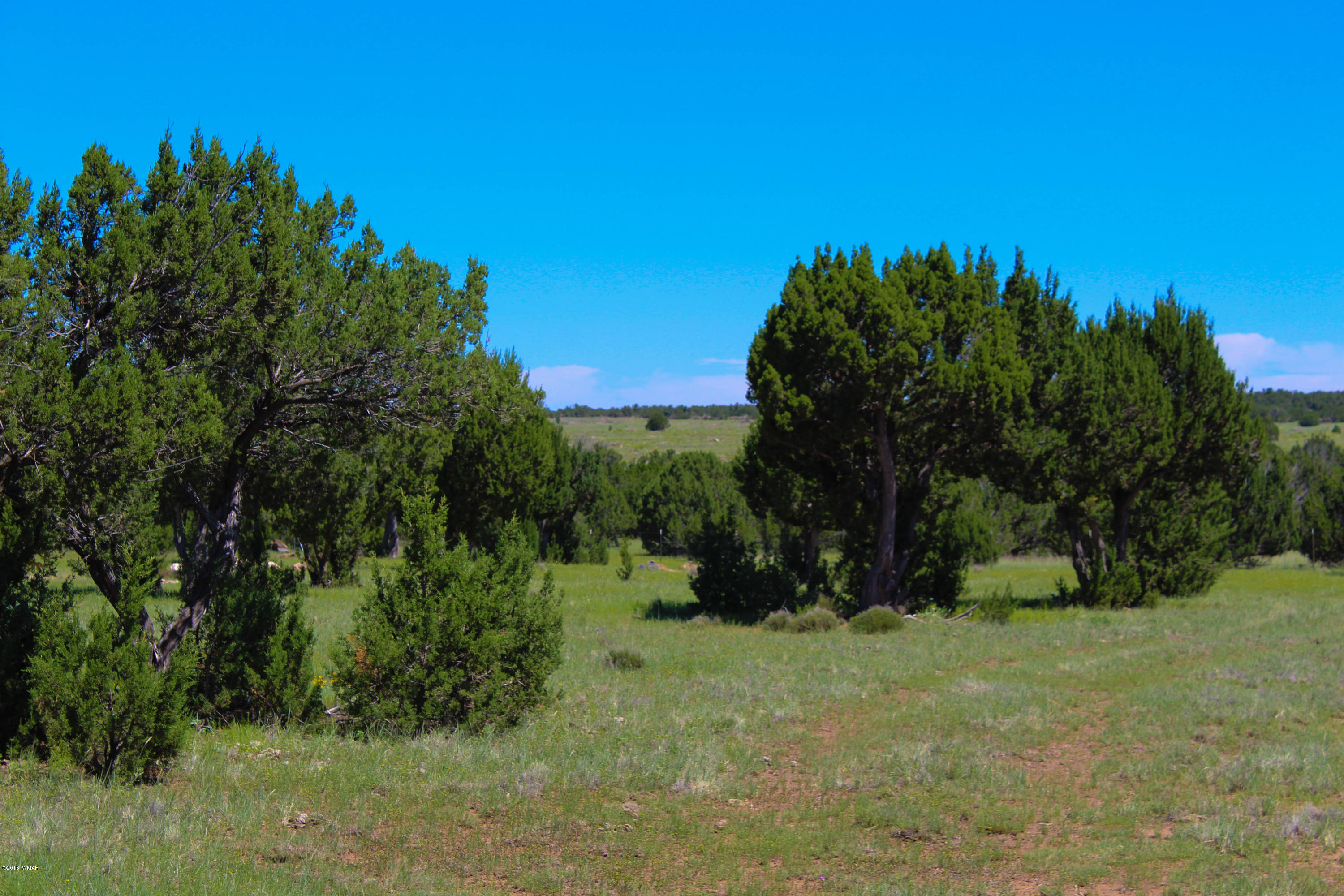 2134 Supancheck Road Show Low, AZ 85901 - Photo 7 of 19