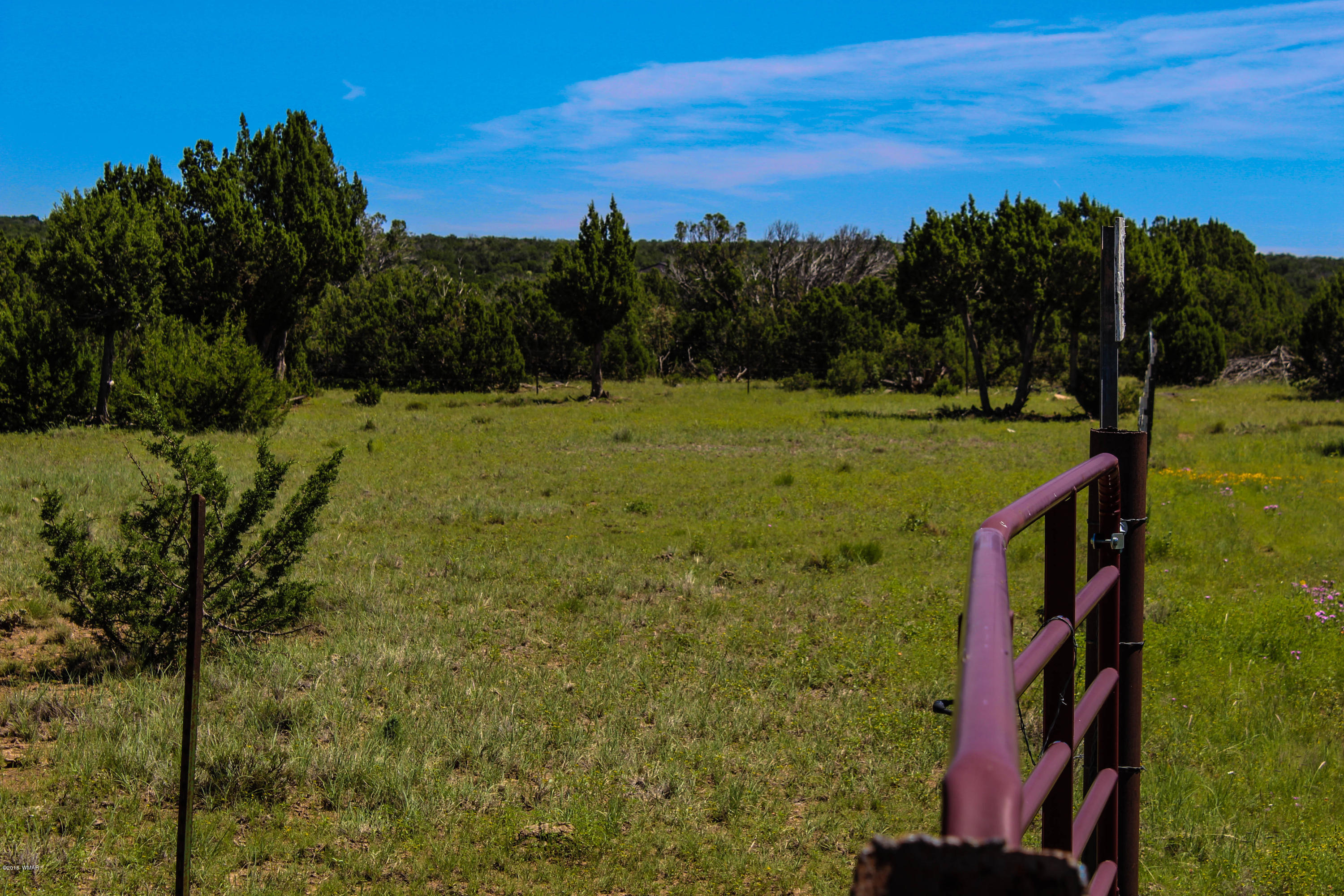 2134 Supancheck Road Show Low, AZ 85901 - Photo 8 of 19