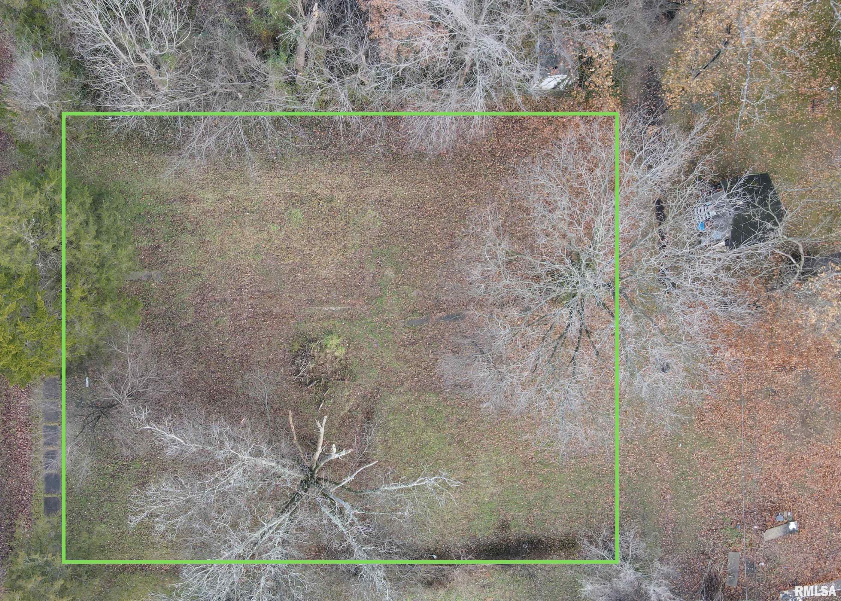 432 Seba Street Hurst, IL 62949 - Photo 5 of 5