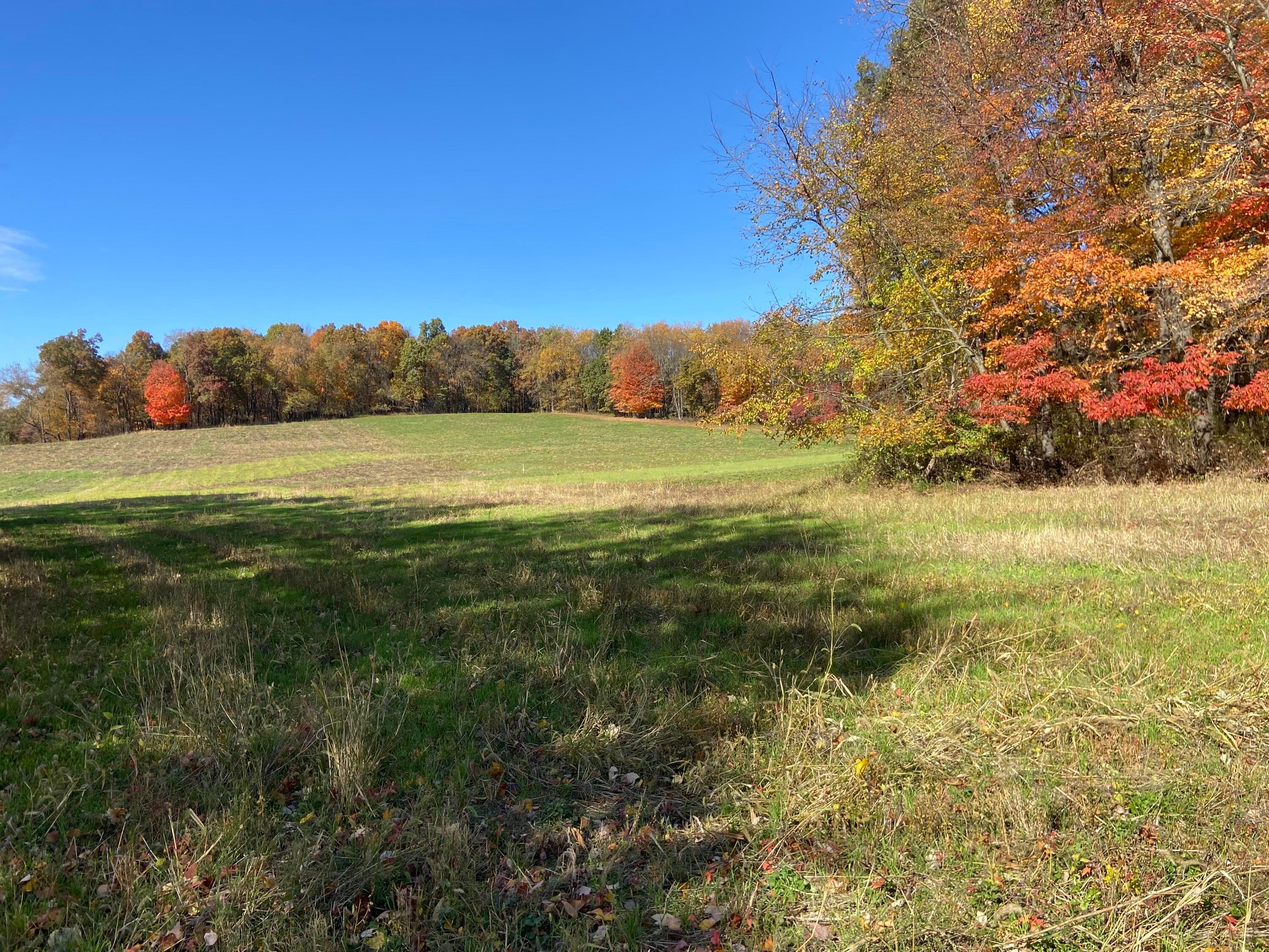 0 Dog Hollow Road, Unit LOT #5 Utica, OH 43080 - Photo 22 of 24