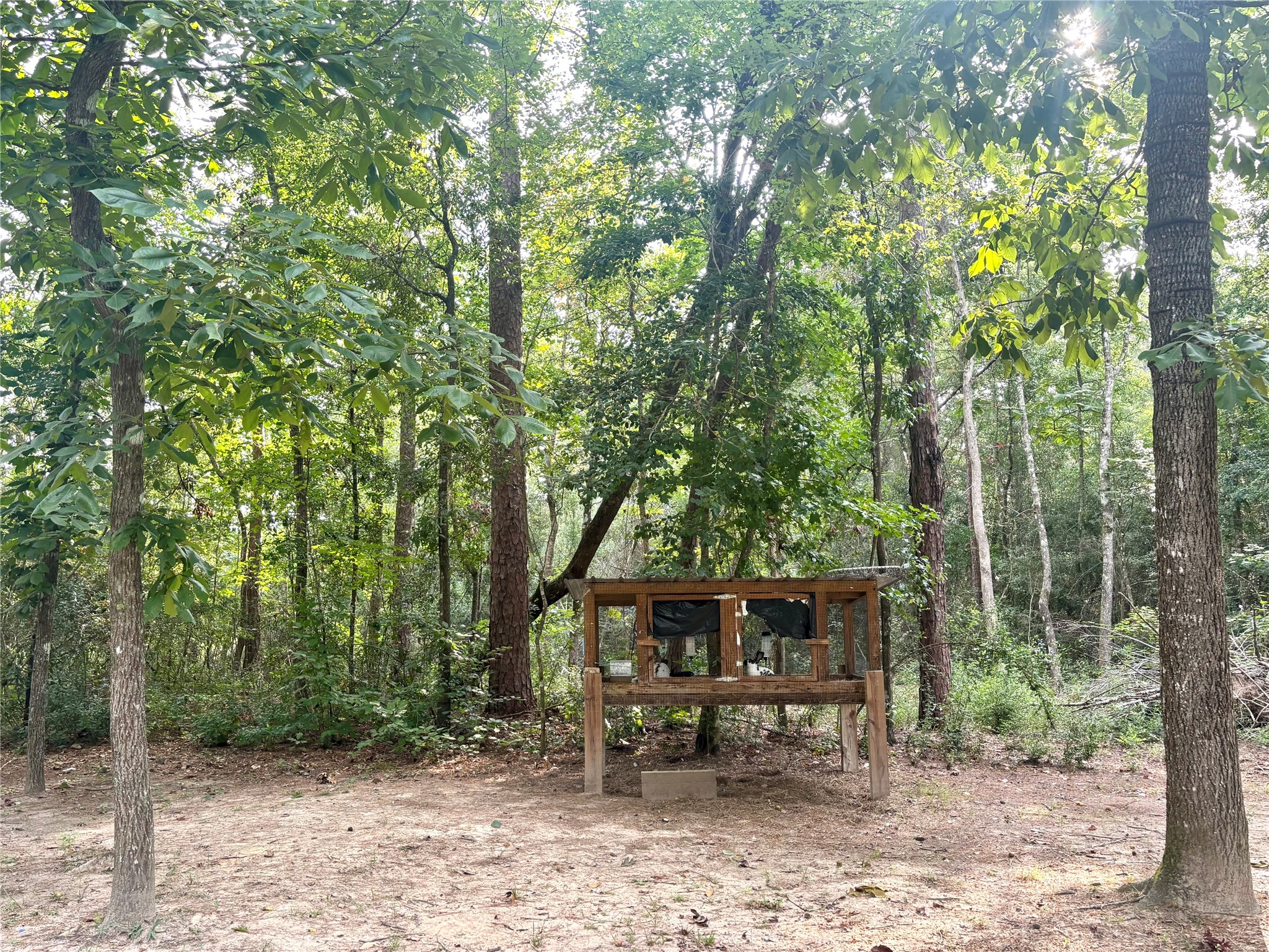 516 County Road 4800 Warren, TX 77664 - Photo 43 of 50 a backyard of a house with table and chairs