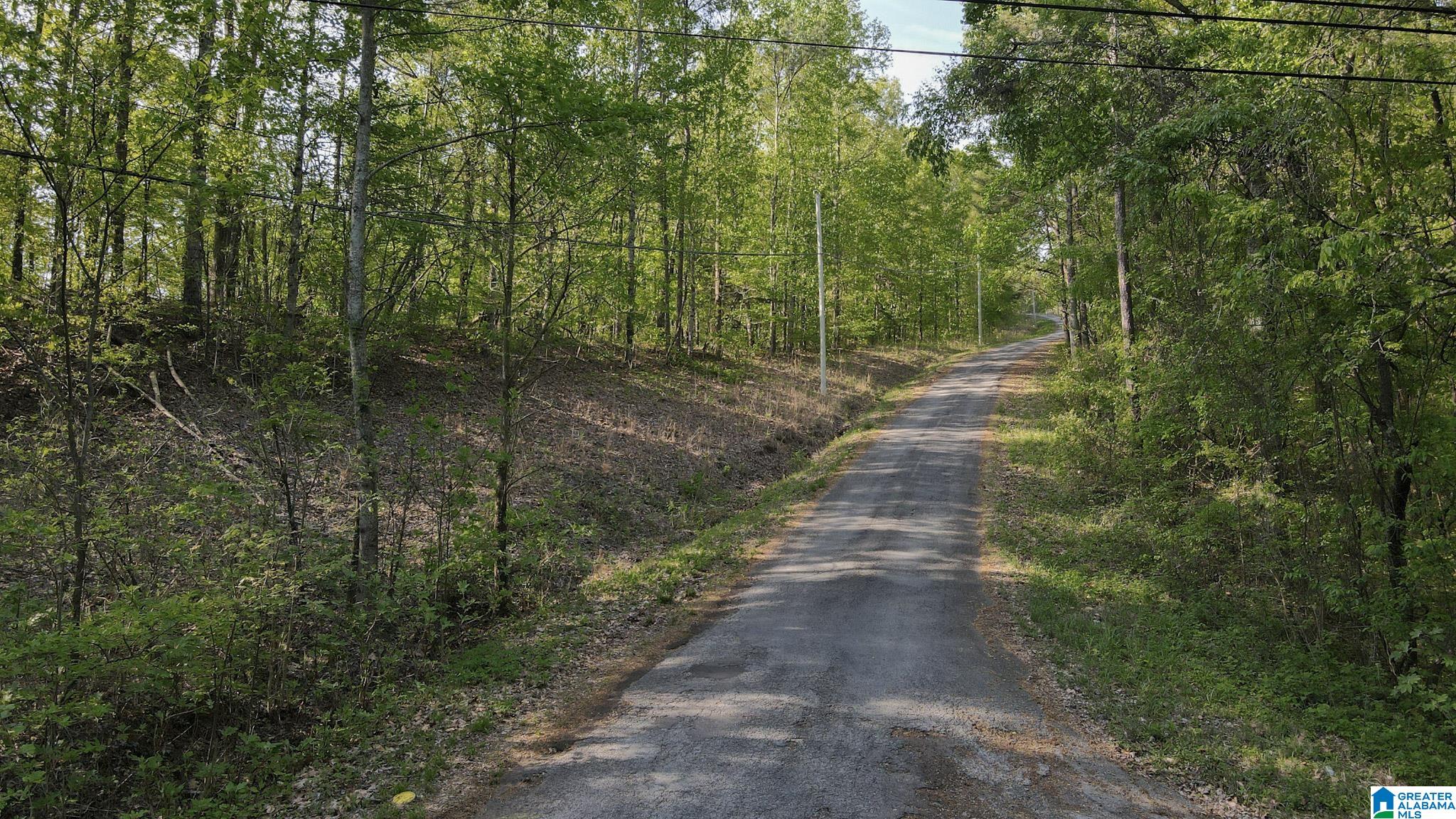 0 Country Road, Unit 818 819 821 Warrior, AL 35180 - Photo 5 of 8