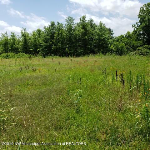 243 Fox Gates Road Marks, MS 38646 - Photo 13 of 15 Photo 13