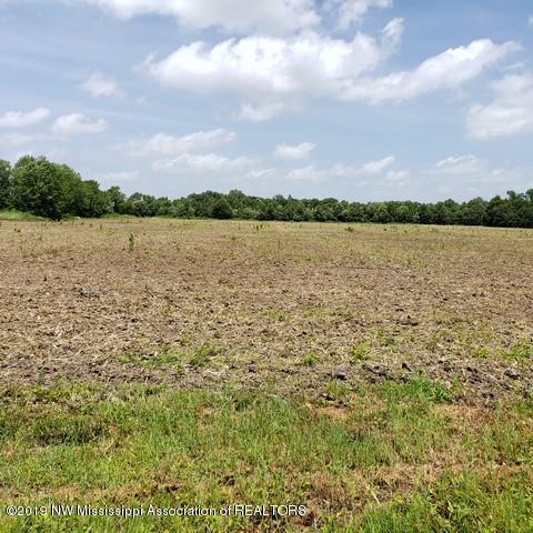 243 Fox Gates Road Marks, MS 38646 - Photo 6 of 15 Photo 6