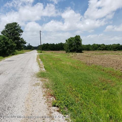 243 Fox Gates Road Marks, MS 38646 - Photo 7 of 15 Photo 7
