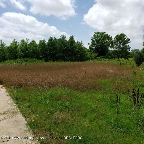 243 Fox Gates Road Marks, MS 38646 - Photo 9 of 15 Photo 9