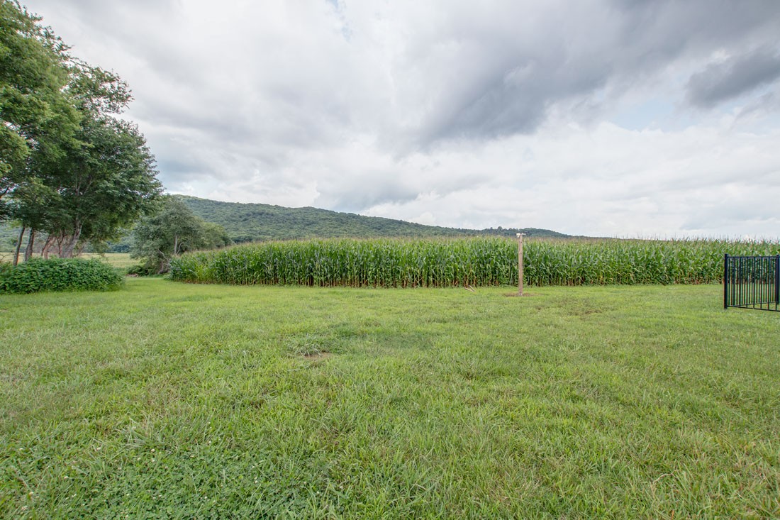 4101 Stephenson Road Hillsboro, TN 37342 - Photo 37 of 41 Gallery Image 37