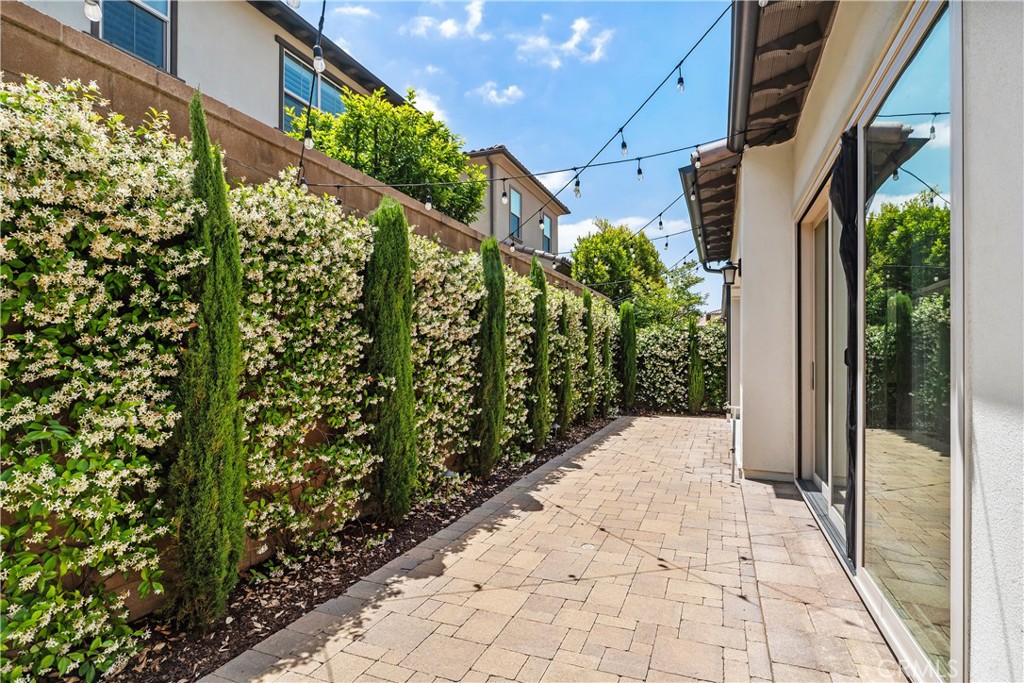 118 Ritual Irvine, CA 92618 - Photo 23 of 52 Fragrant wall of blooming Jasmine