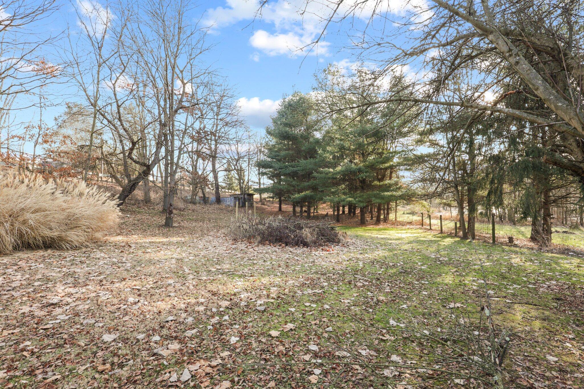 3995 Raccoon Valley Road Alexandria, OH 43001 - Photo 73 of 93 Acreage