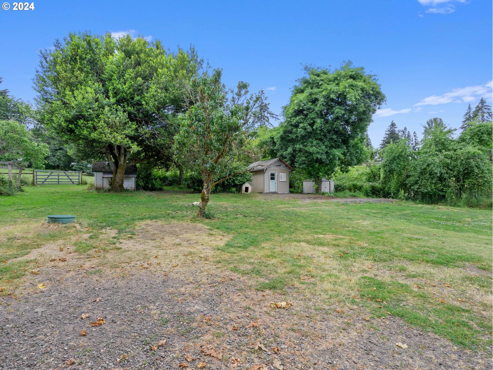 16091 Southeast Royer Road Damascus, OR 97089 - Photo 29 of 41 a view of a tree in a park