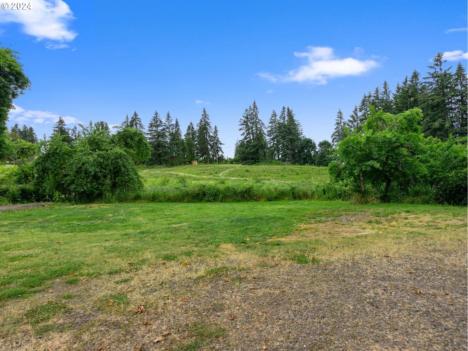 16091 Southeast Royer Road Damascus, OR 97089 - Photo 30 of 41 a view of a field with trees in the background