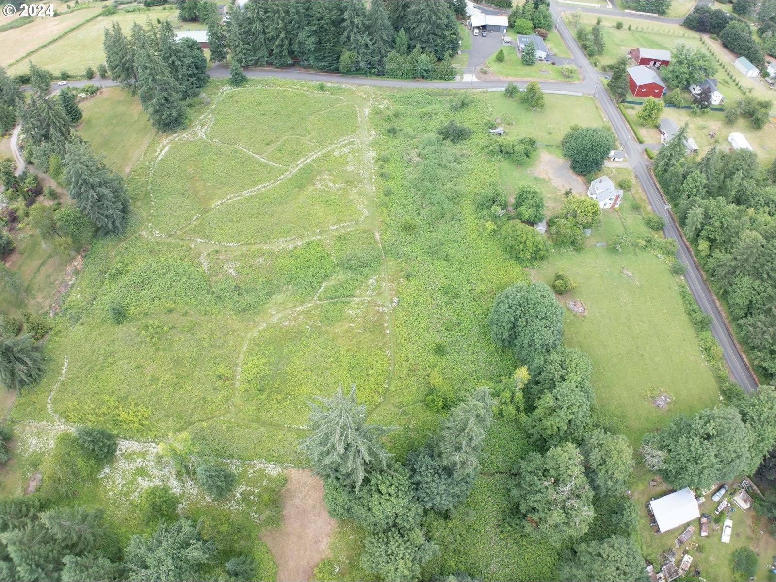 16091 Southeast Royer Road Damascus, OR 97089 - Photo 39 of 41 a view of a yard with plants