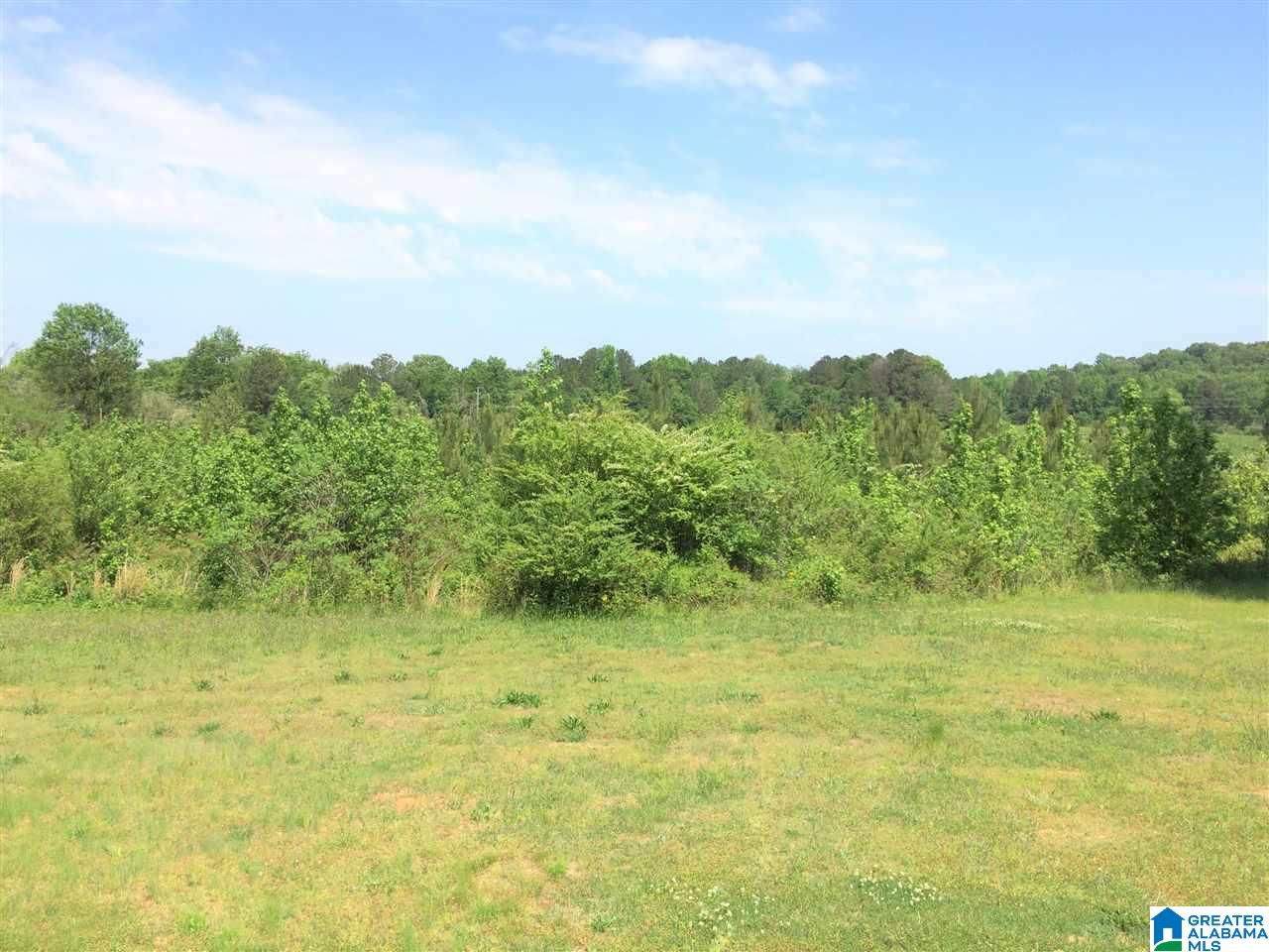 1691 Mountain Springs Road Ashville, AL 35953 - Photo 13 of 50