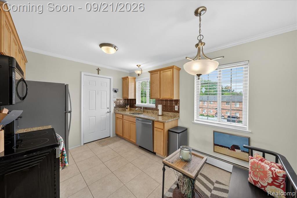 454 Romeo Road, Unit 226 Rochester, MI 48307 - Photo 11 of 29 Gallery Image 11