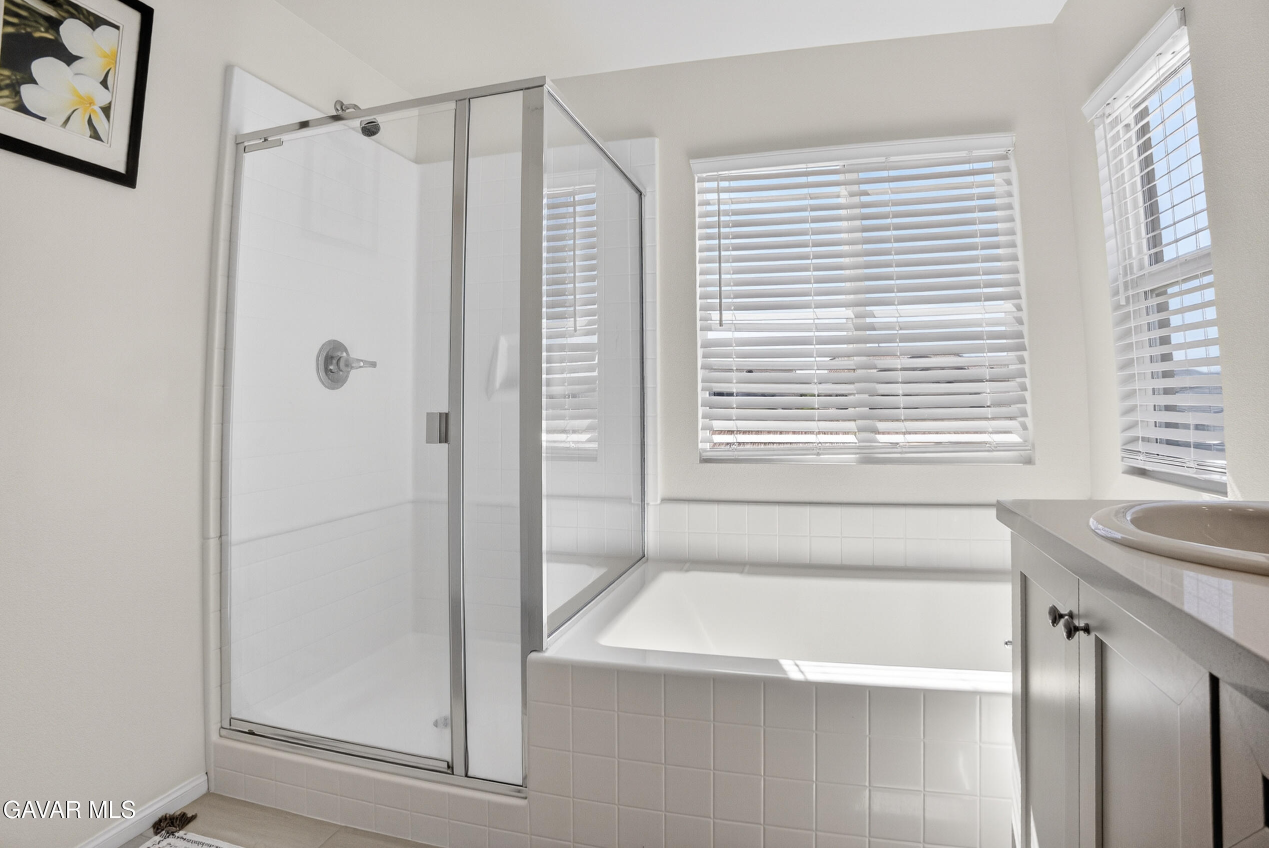 3120 Via Bella Rosa Avenue Rosamond, CA 93560 - Photo 45 of 54 DSC_0791