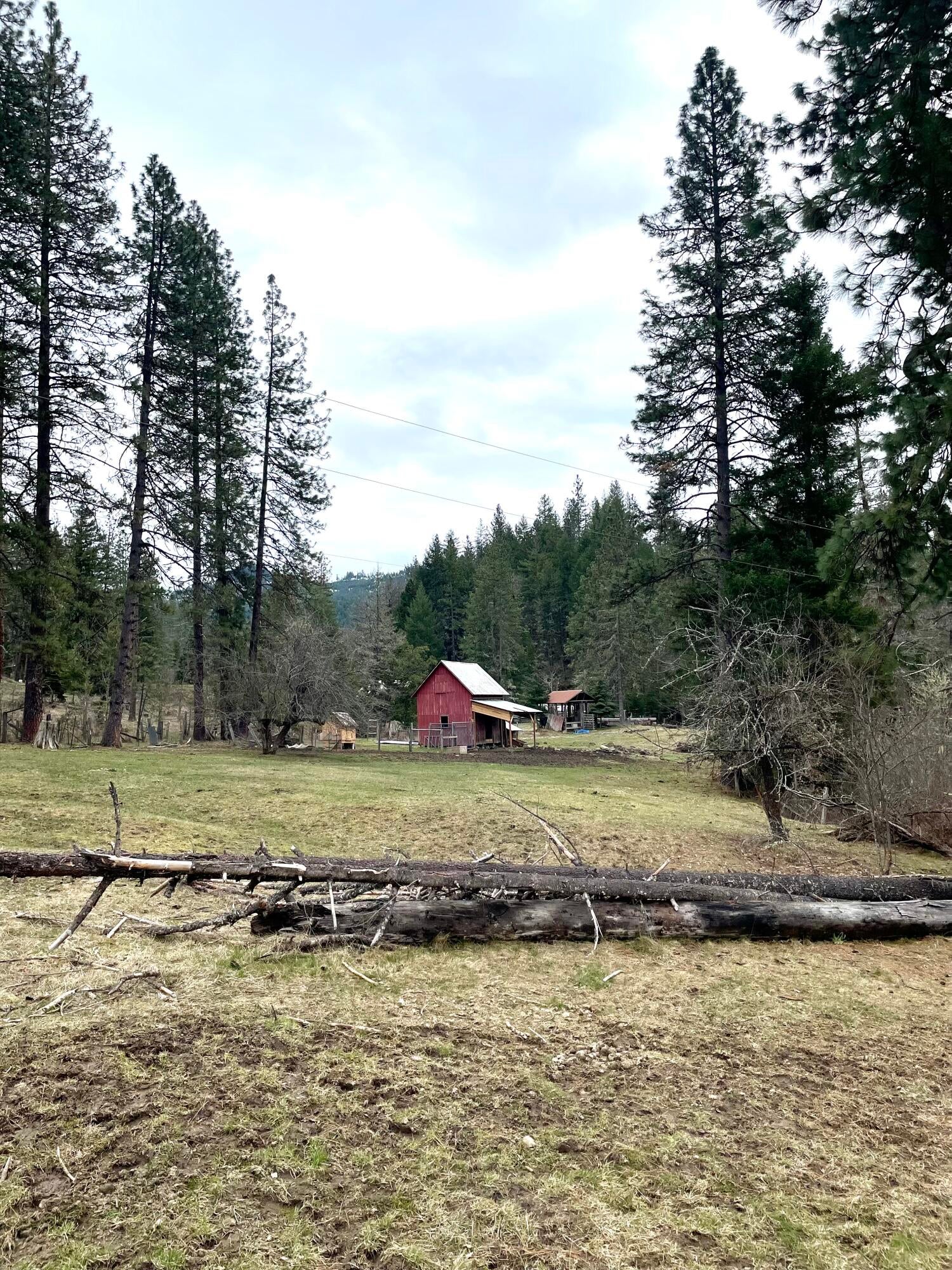 15000 Elk Creek Road Trail, OR 97541 - Photo 39 of 48 110961E7-F704-403F-B647-8BC2783788BD