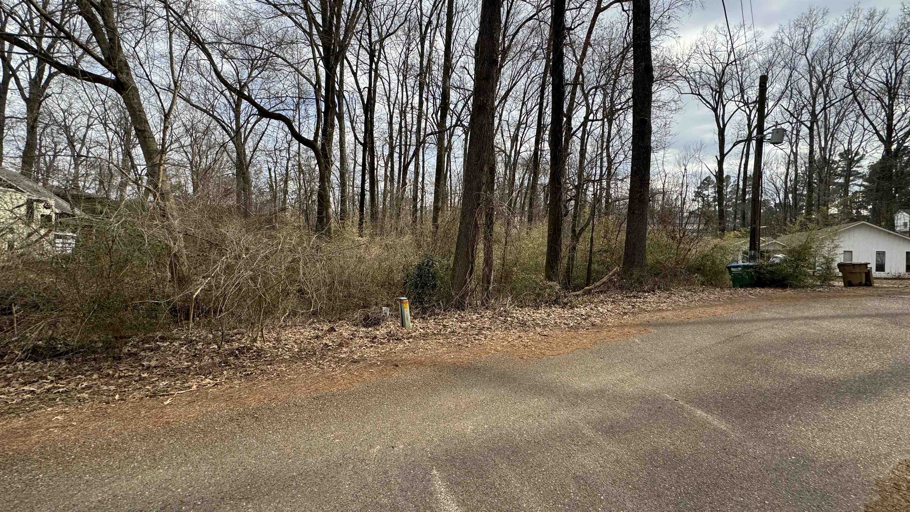 5711 Green Valley Road Memphis, TN 38135 - Photo 2 of 12 a backyard of a house with large trees