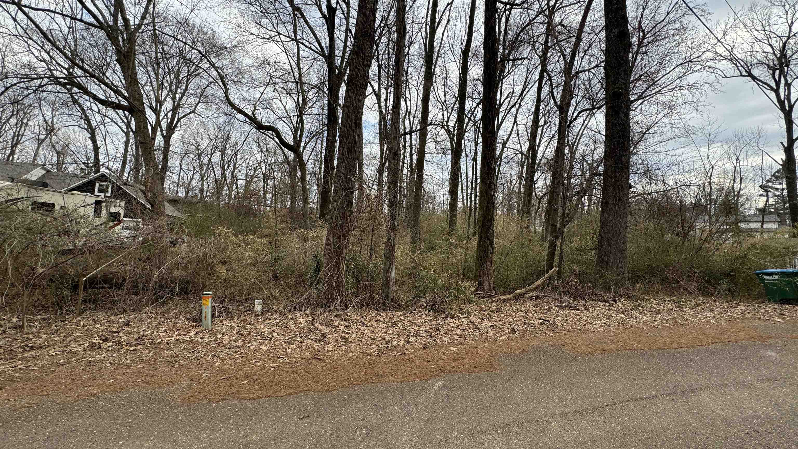 5711 Green Valley Road Memphis, TN 38135 - Photo 3 of 12 a view of a park with large trees