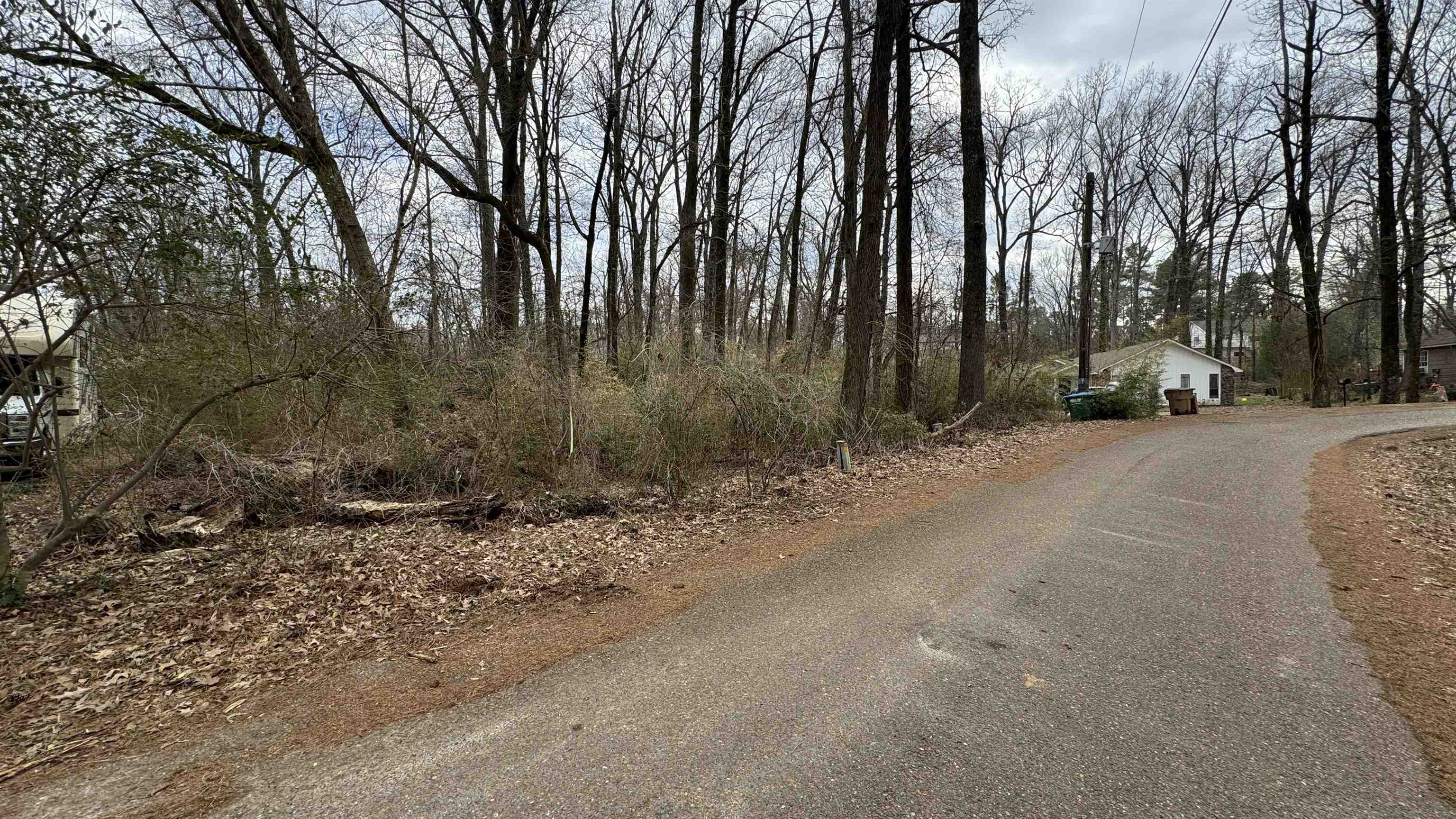 5711 Green Valley Road Memphis, TN 38135 - Photo 6 of 12 a row of trees with lots of trees