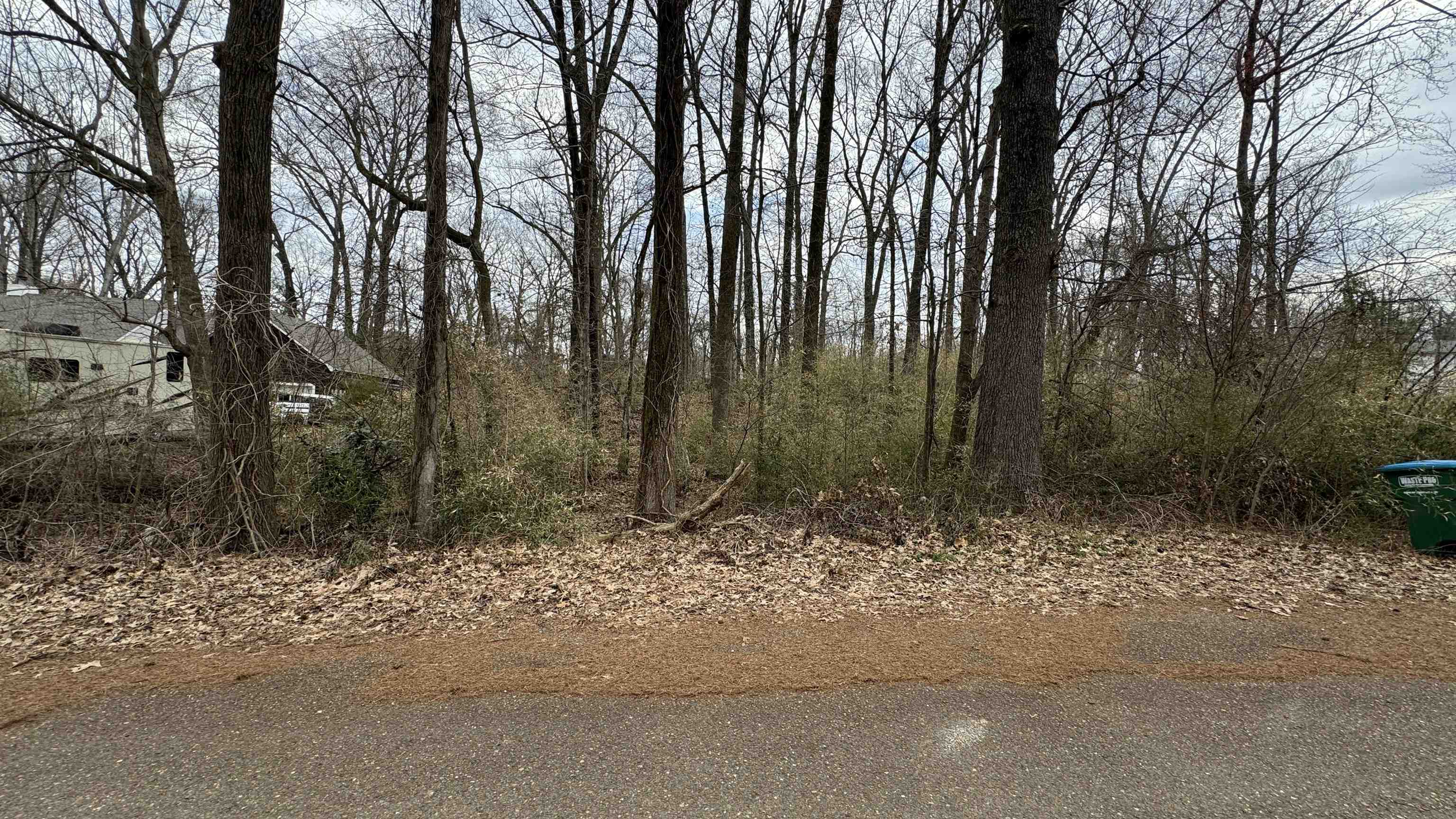 5711 Green Valley Road Memphis, TN 38135 - Photo 7 of 12 a backyard of a house with lots of green space