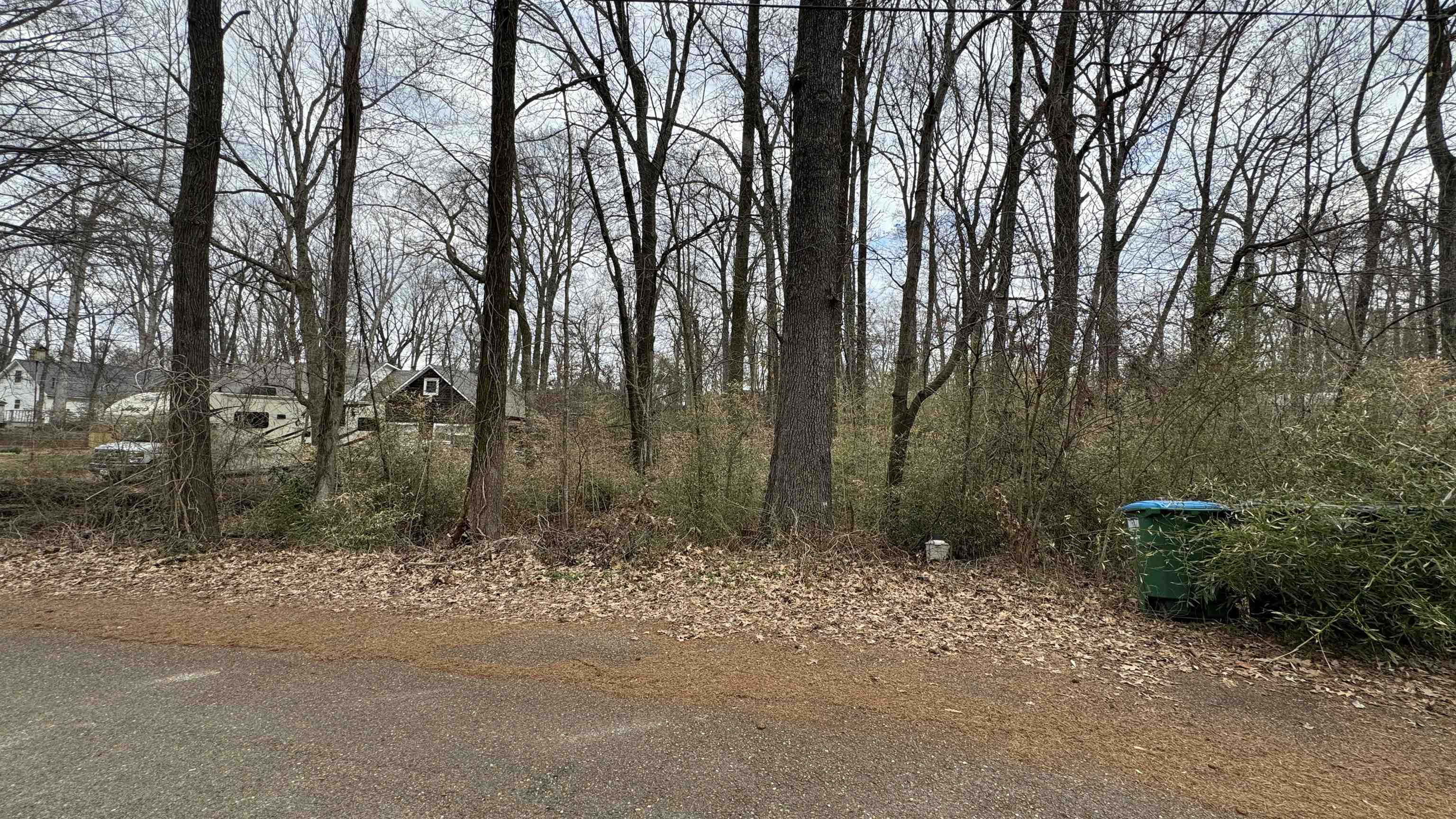 5711 Green Valley Road Memphis, TN 38135 - Photo 8 of 12 a view of backyard with green space