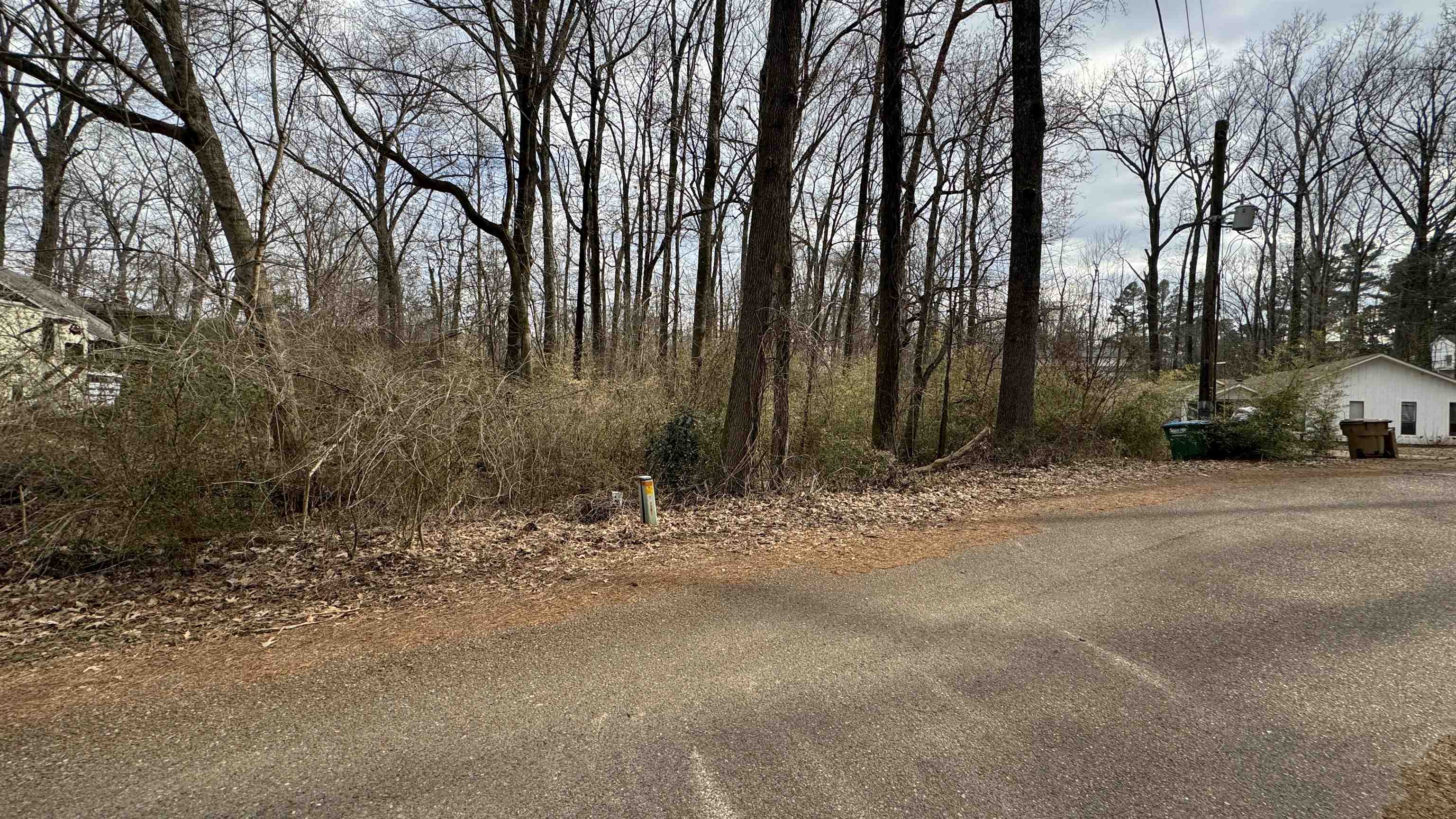 5711 Green Valley Road Memphis, TN 38135 - Photo 9 of 12 a backyard of a house with large trees