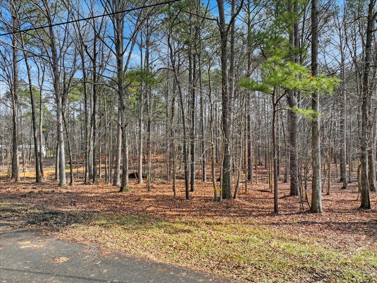 349 Todd Road Southeast Cleveland, TN 37323 - Photo 12 of 12 11-Pinnacle Tour - 349 Todd - 11