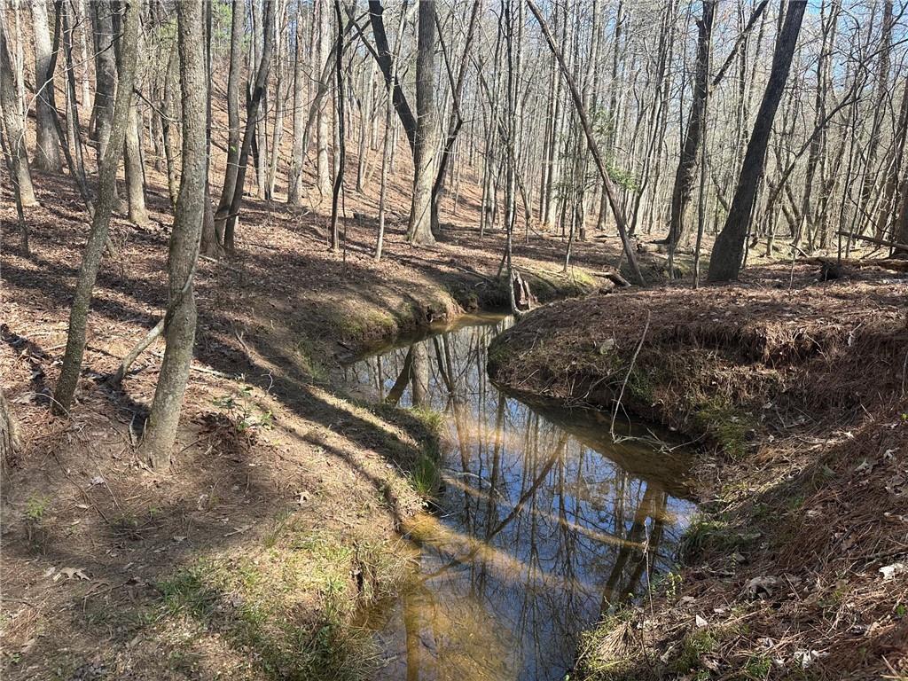 555 Larmon Forks Road Dahlonega, GA 30533 - Photo 2 of 10 a view of a yard with plants and trees