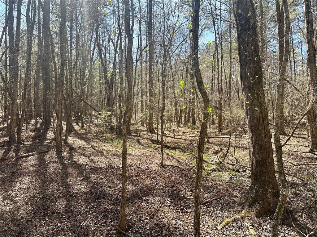 555 Larmon Forks Road Dahlonega, GA 30533 - Photo 4 of 10 a view of outdoor space with seating space
