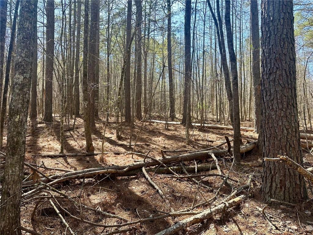 555 Larmon Forks Road Dahlonega, GA 30533 - Photo 5 of 10